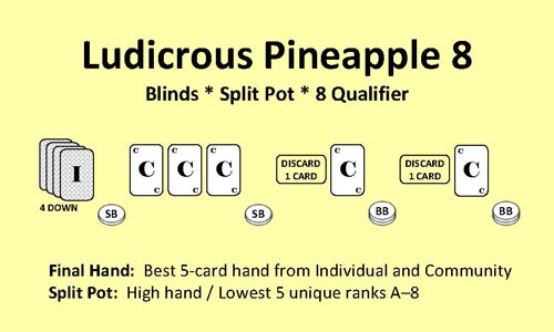 Ludicrous Pineapple 8.jpg