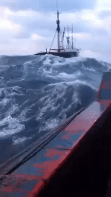 lz6cW7aZx9Ux7hRoF6.gif