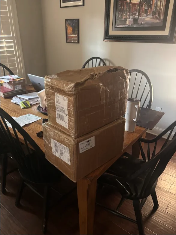 Mail Day.webp