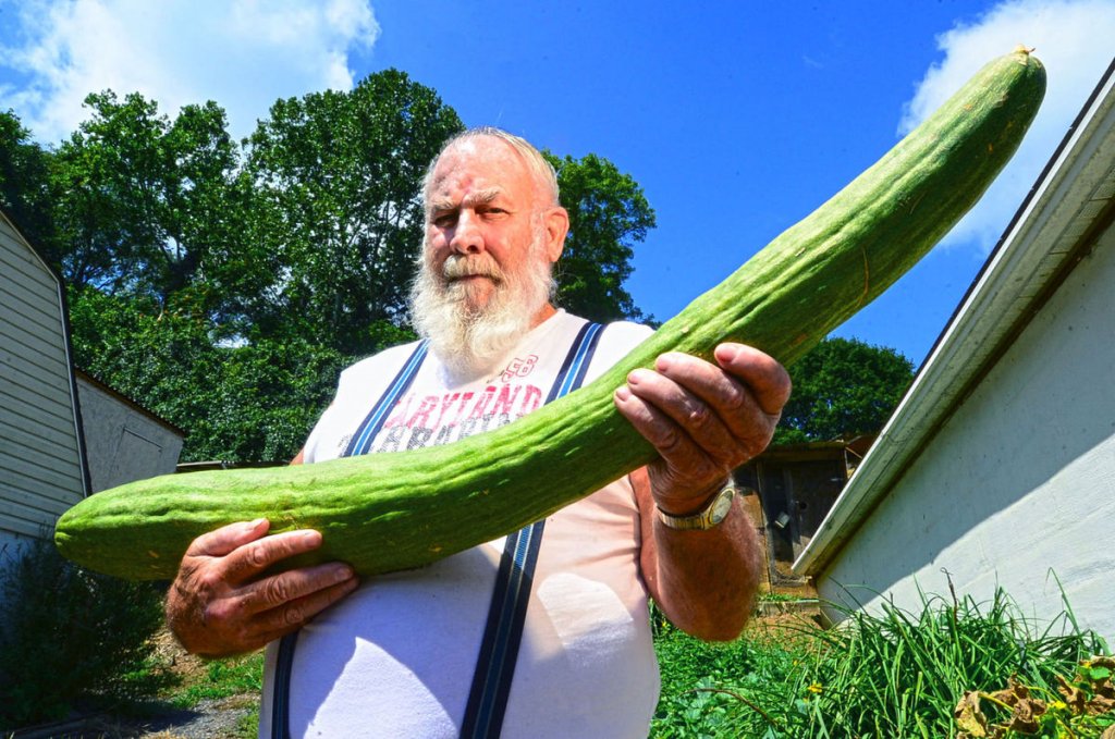 Man-with-giant-cucumber.jpg