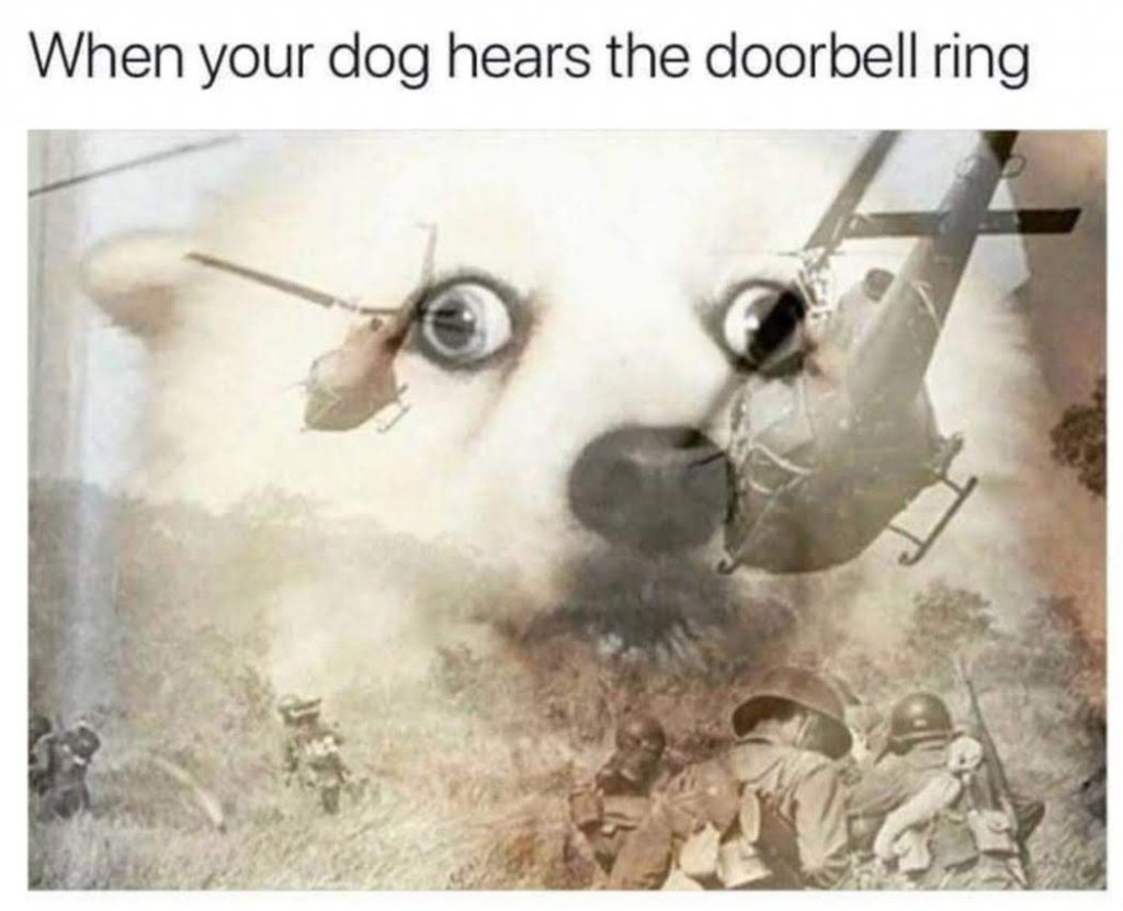 mdb0faabrg211.jpg