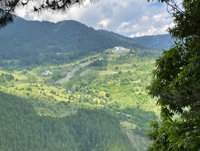 Metsovo Grand Forrest.jpg