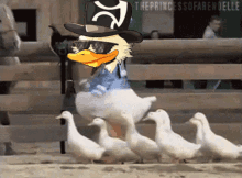 moon-commander-ducks.gif