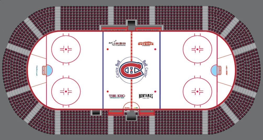 nhl rink.webp