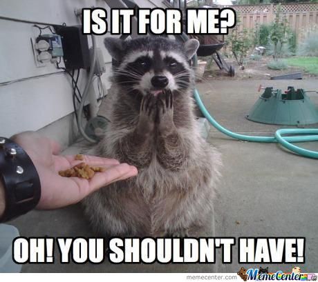 oh-you-shouldnt-have_o_941269.jpg