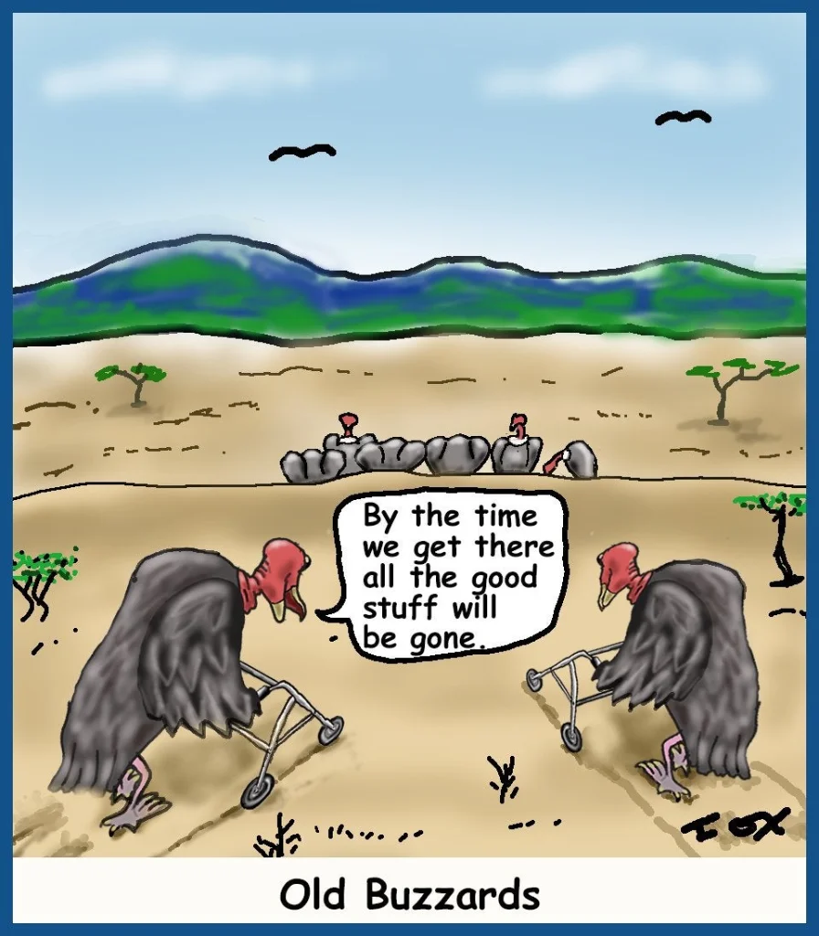 Old Buzzards.webp