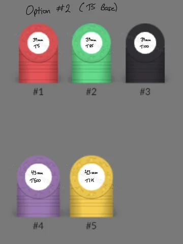 Option2_T5.webp