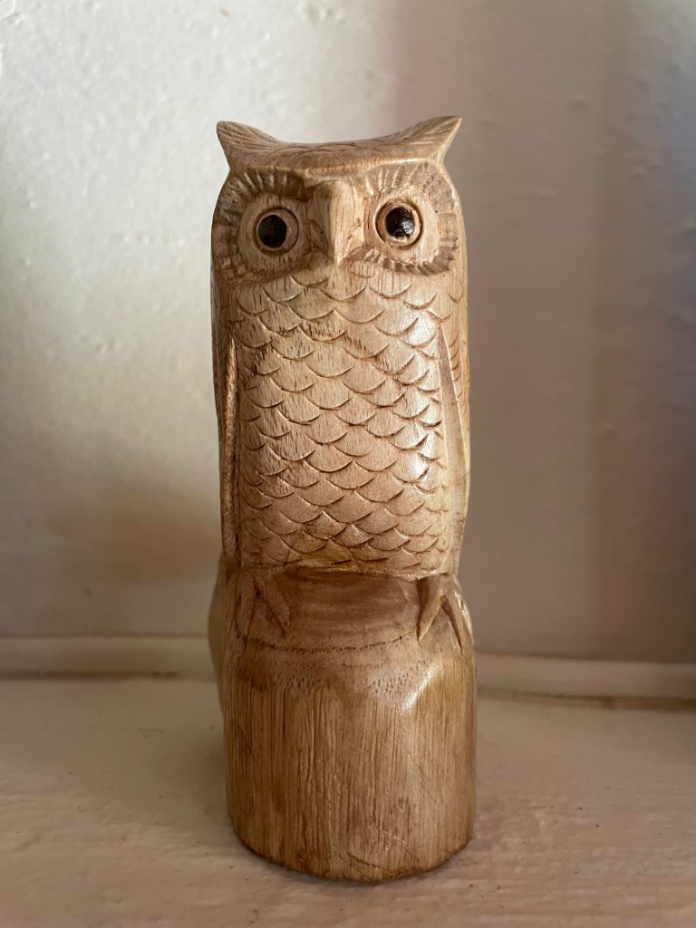 Owl_IMG_0645.jpg