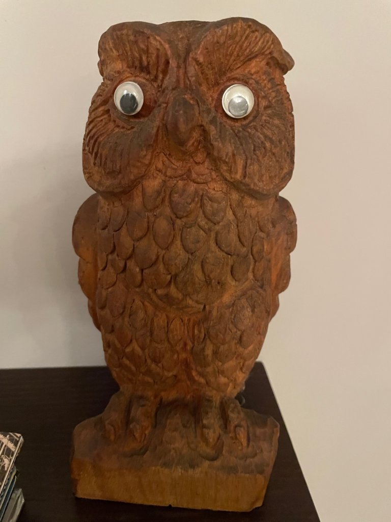 Owl_IMG_0646.jpg
