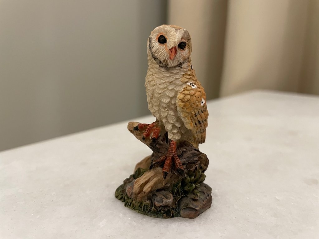 Owl_IMG_0647.jpg