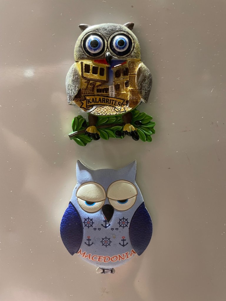 Owls on fridge_IMG_0651.jpg