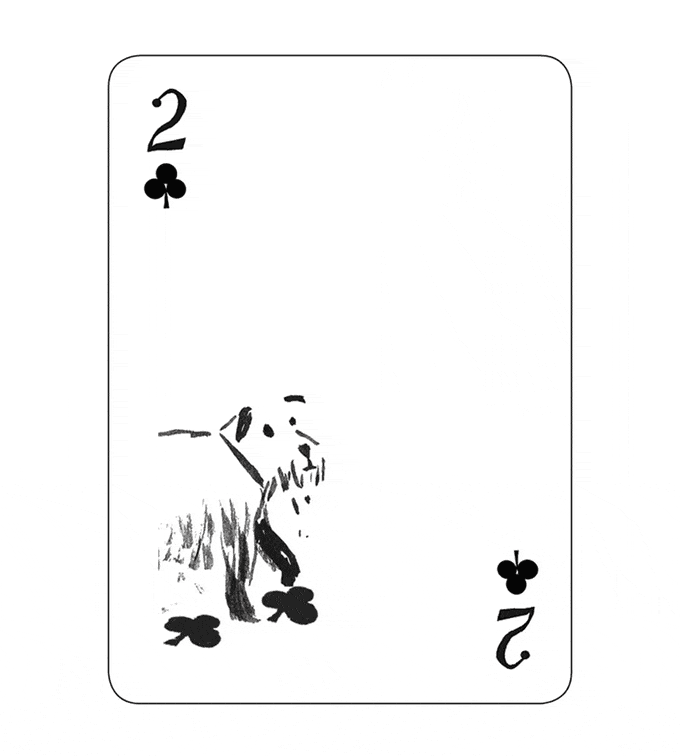 pack-of-dogs-playing-cards-john-littleboy-artiphany-2.gif
