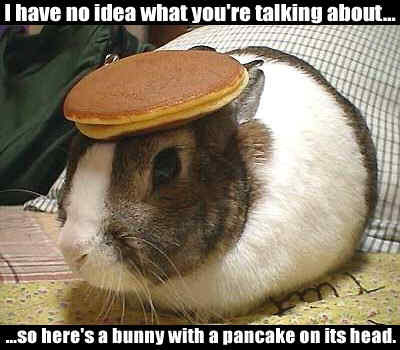 Pancake_head.jpeg