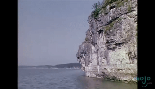 PartialRewardingHowlermonkey-size_restricted.gif