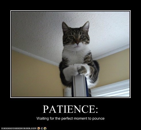 patience.jpg