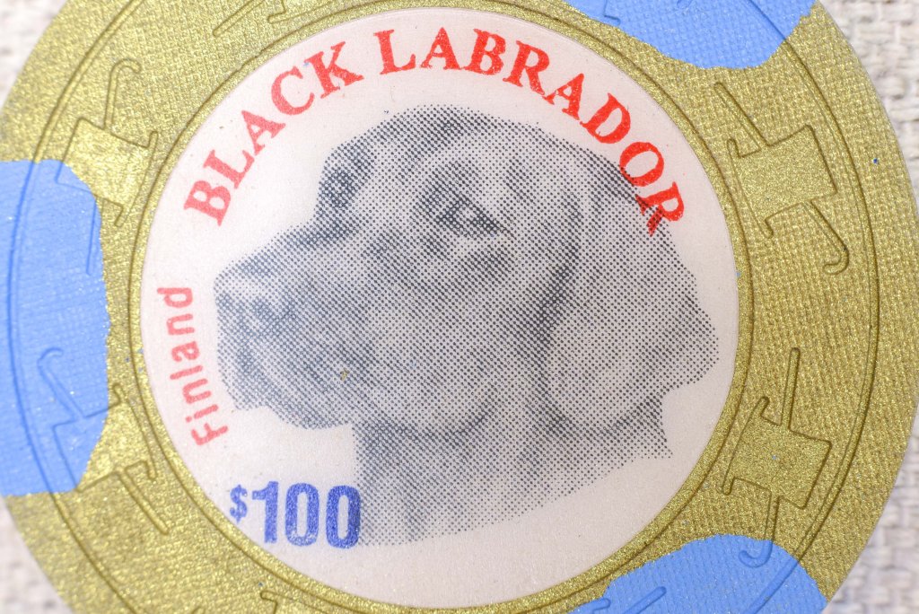 Paulson_THC_Black-Lab_03.jpg