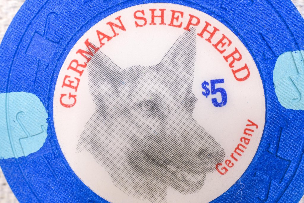 Paulson_THC_German-Shepard_02.jpg