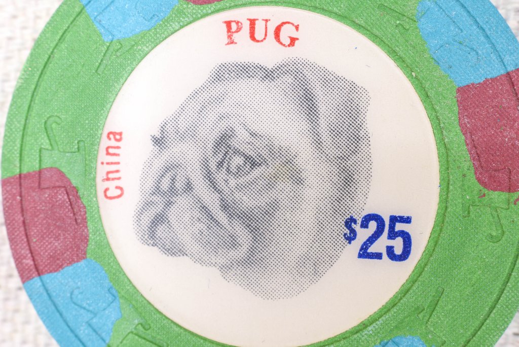 Paulson_THC_Pug_02.jpg