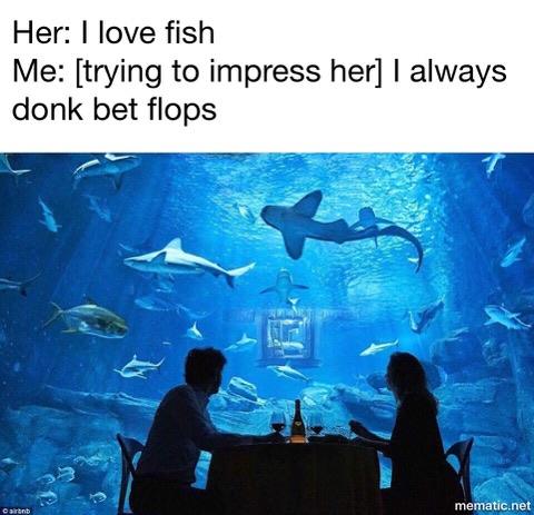 pf0r1dqqorgz.jpg