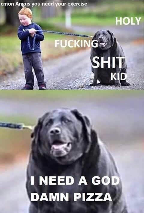 pi19xzv75v1z.jpg