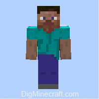 player.png