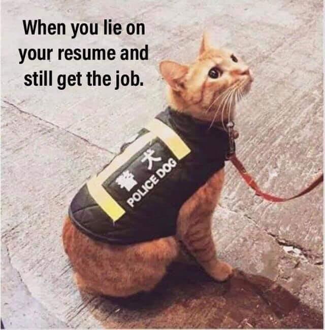 police dog.jpeg