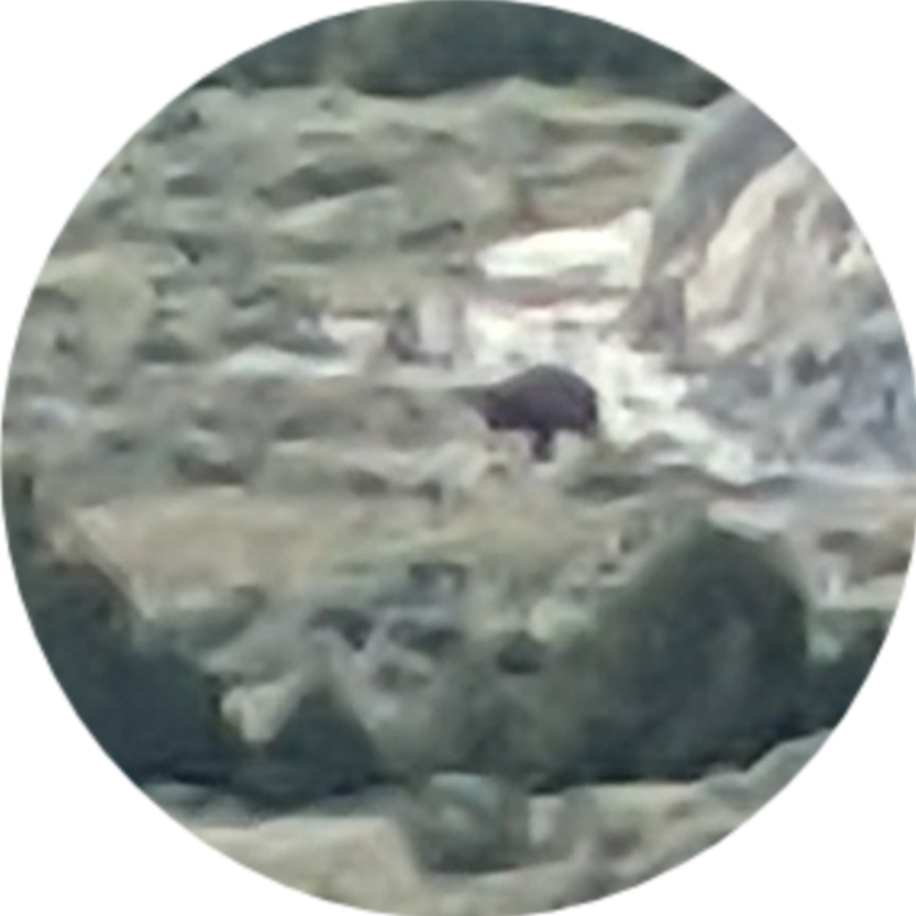 Polish_20210704_200953863.png