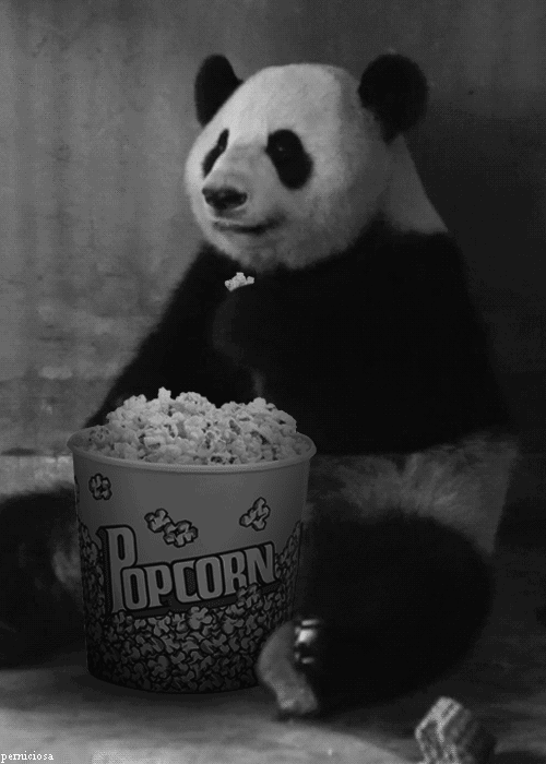 popcorn Panda.gif