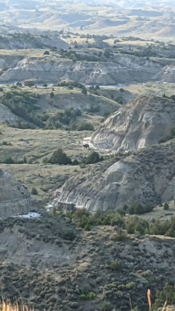 PXL_20210705_003322390.jpg