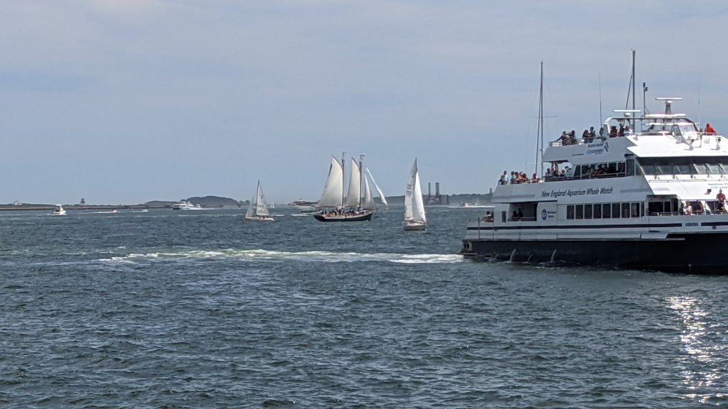 PXL_20210815_173829093.jpg