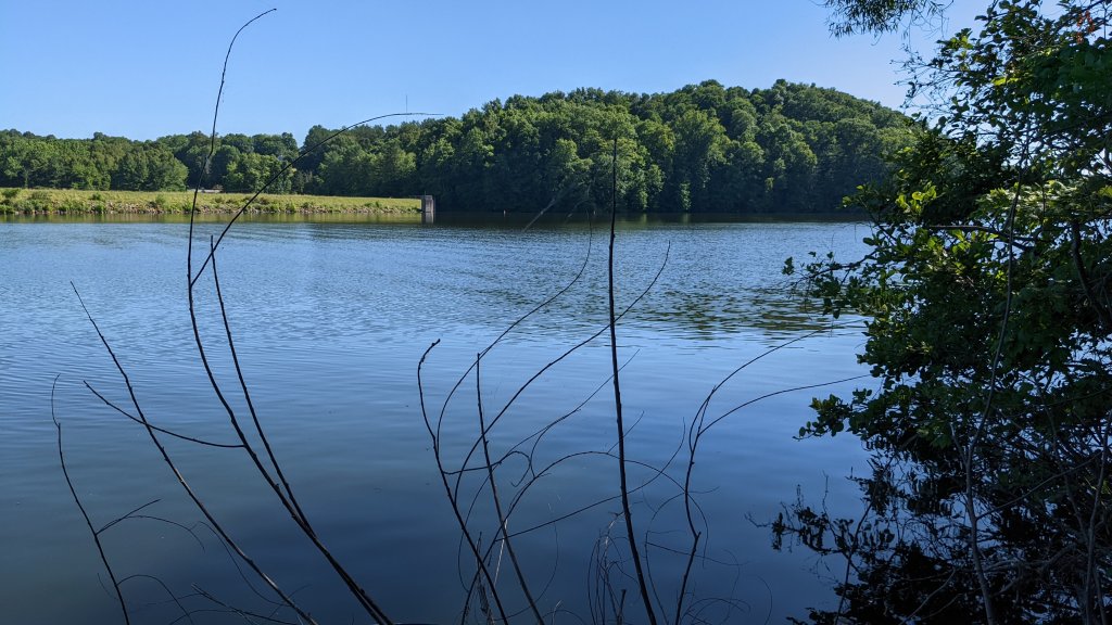 PXL_20220629_210931496.jpg
