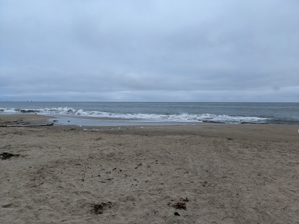 PXL_20220713_020041623.jpg
