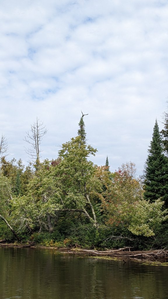 PXL_20220917_161950316.jpg