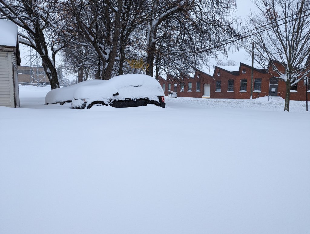 PXL_20221118_163019072.jpg