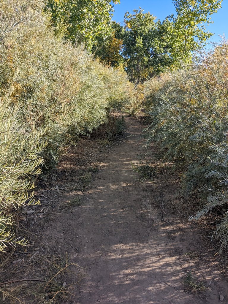 PXL_20231012_152302462.jpg