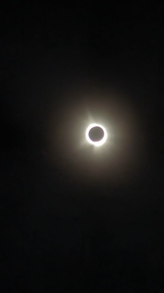 PXL_20240408_191420150.NIGHT.jpg