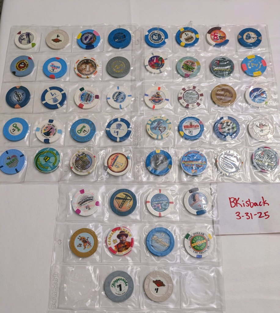 PXL_20250331_173306042.jpg