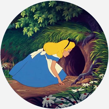 rabbit-hole-1.jpg