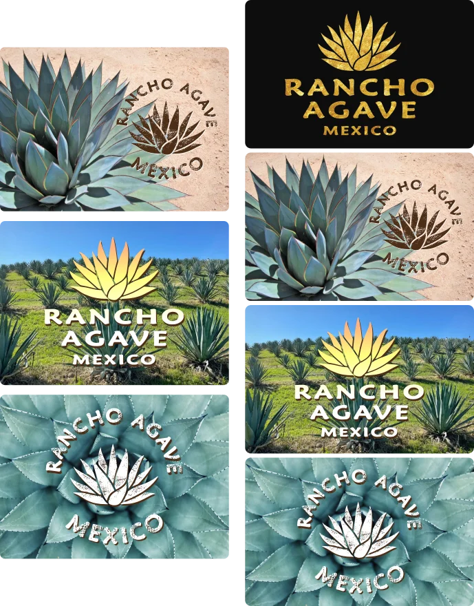 ranchoagavecutcards.webp