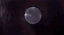 raprot.gif