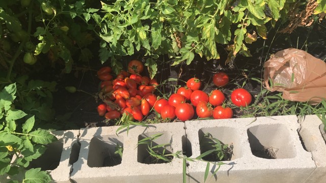 received_2147032412249358.jpeg