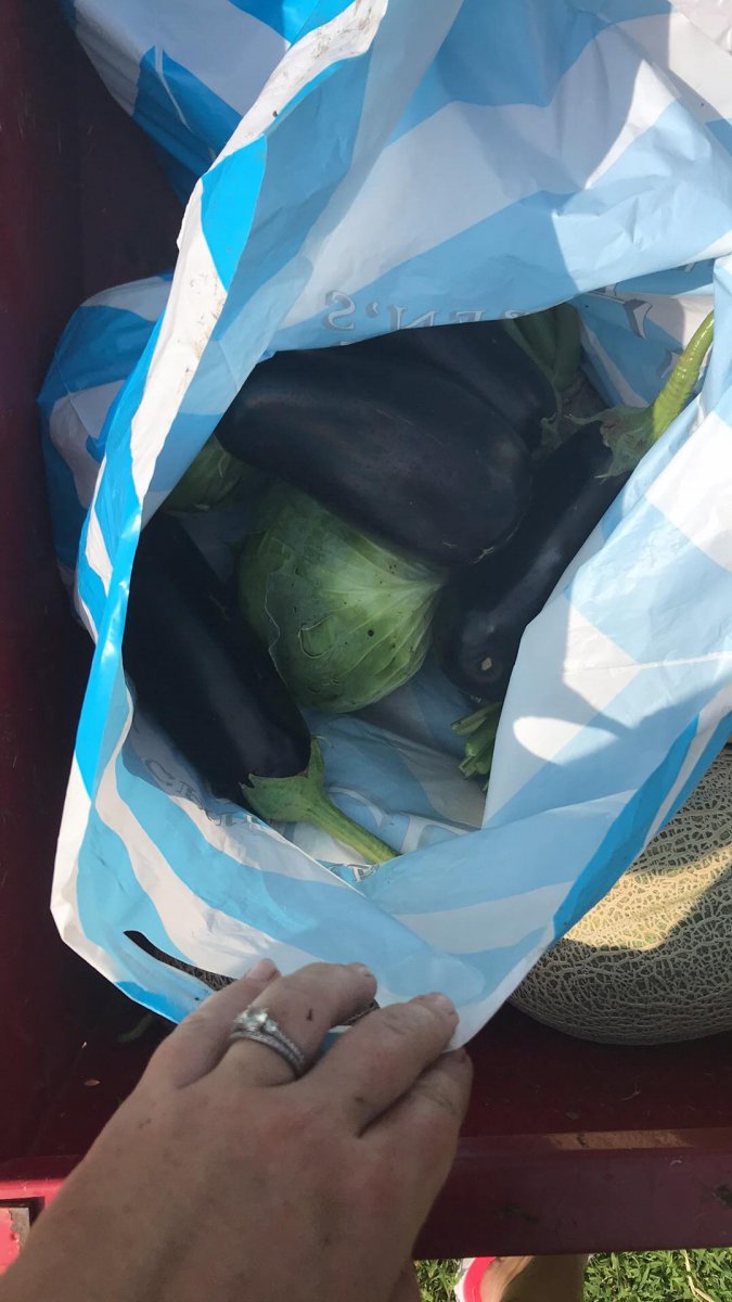 received_517509125356572.jpeg