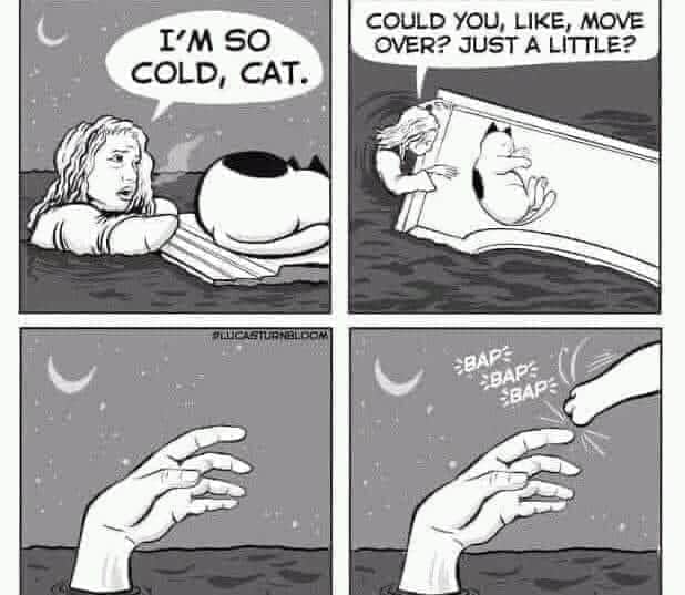 received_685796418638825.jpeg