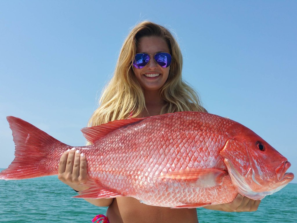 Red-Snapper-5.jpg