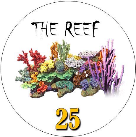 reef1.png