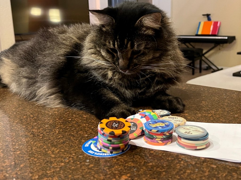 Rocky poker chips.jpg