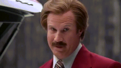 Ron Burgundy stare.gif