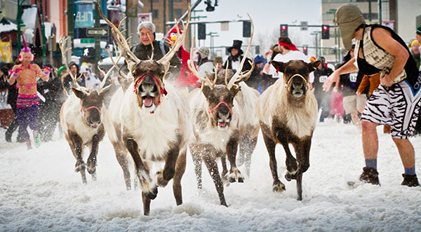 running-reindeer[1].jpg