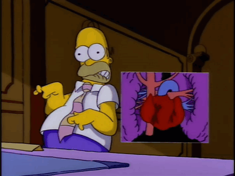 s2RO-DnrvNrZFODDEWwGWPC26xQ=.gif