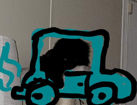 Screenshot_20210520-195758_Gallery.jpg
